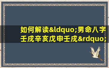 如何解读“男命八字壬戌辛亥戊申壬戌”中的五行相生相克关系