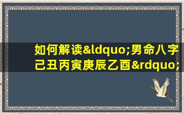 如何解读“男命八字己丑丙寅庚辰乙酉”中的五行相生相克关系