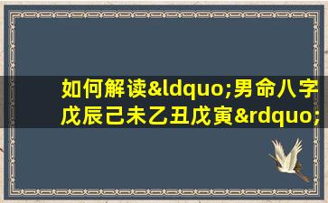 如何解读“男命八字戊辰己未乙丑戊寅”中的五行相生相克关系