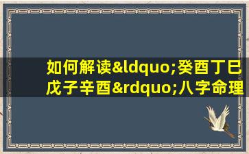 如何解读“癸酉丁巳戊子辛酉”八字命理