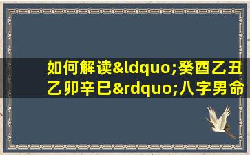 如何解读“癸酉乙丑乙卯辛巳”八字男命的命理特征