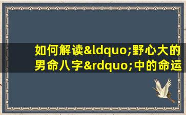 如何解读“野心大的男命八字”中的命运特征