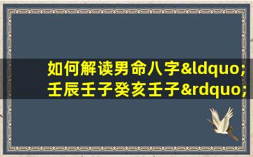 如何解读男命八字“壬辰壬子癸亥壬子”中的水旺特征及其影响