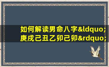 如何解读男命八字“庚戌己丑乙卯己卯”中的五行相生相克关系