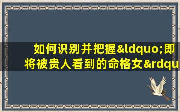 如何识别并把握“即将被贵人看到的命格女”的机遇