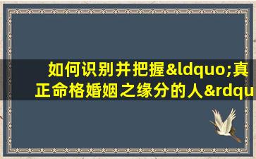 如何识别并把握“真正命格婚姻之缘分的人”