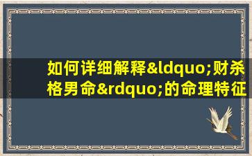 如何详细解释“财杀格男命”的命理特征