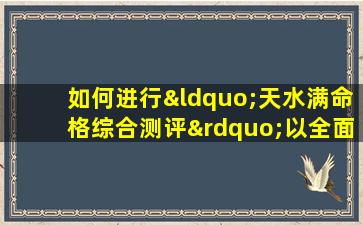 如何进行“天水满命格综合测评”以全面了解个人命运特征