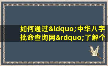 如何通过“中华八字批命查询网”了解个人命理