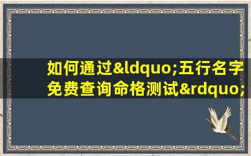 如何通过“五行名字免费查询命格测试”了解个人命理