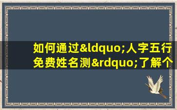 如何通过“人字五行免费姓名测”了解个人命理