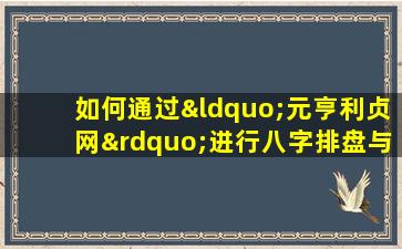 如何通过“元亨利贞网”进行八字排盘与算命