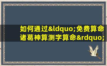 如何通过“免费算命诸葛神算测字算命”服务探索个人命运