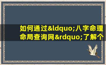 如何通过“八字命理命局查询网”了解个人命运