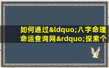 如何通过“八字命理命运查询网”探索个人命运