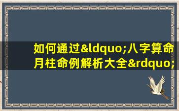 如何通过“八字算命月柱命例解析大全”深入理解个人命运