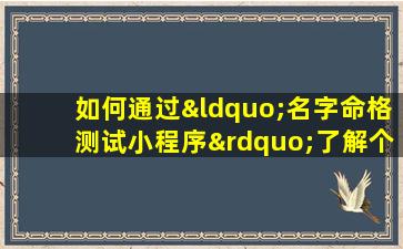 如何通过“名字命格测试小程序”了解个人命运