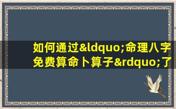 如何通过“命理八字免费算命卜算子”了解个人运势