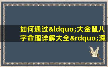 如何通过“大金鼠八字命理详解大全”深入理解个人命运