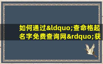 如何通过“查命格起名字免费查询网”获取个性化的命名建议