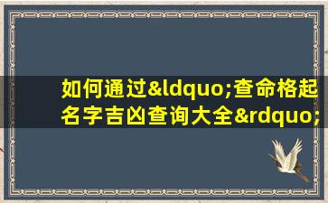 如何通过“查命格起名字吉凶查询大全”来确定名字的吉凶