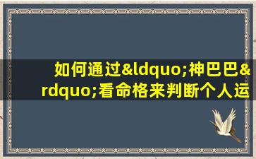 如何通过“神巴巴”看命格来判断个人运势的好坏