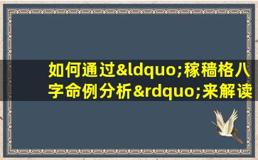 如何通过“稼穑格八字命例分析”来解读个人命运