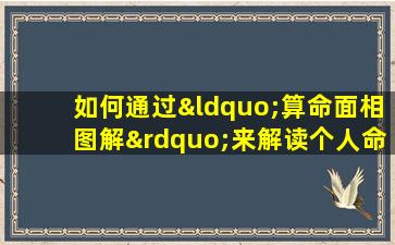 如何通过“算命面相图解”来解读个人命运