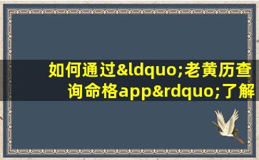 如何通过“老黄历查询命格app”了解个人命理