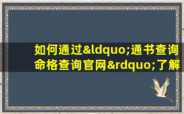 如何通过“通书查询命格查询官网”了解个人命格信息