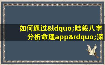 如何通过“陆毅八字分析命理app”深入了解个人命运