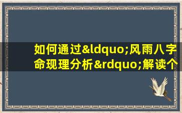 如何通过“风雨八字命现理分析”解读个人命运