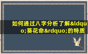 如何通过八字分析了解“葵花命”的特质与运势