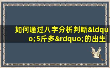 如何通过八字分析判断“5斤多”的出生体重是否预示着好的命运