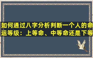 如何通过八字分析判断一个人的命运等级：上等命、中等命还是下等命