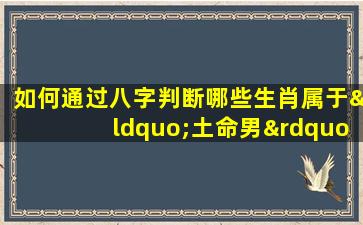 如何通过八字判断哪些生肖属于“土命男”