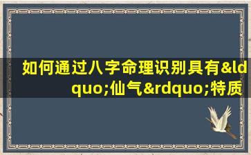 如何通过八字命理识别具有“仙气”特质的女性的特征