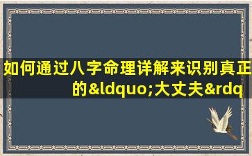 如何通过八字命理详解来识别真正的“大丈夫”