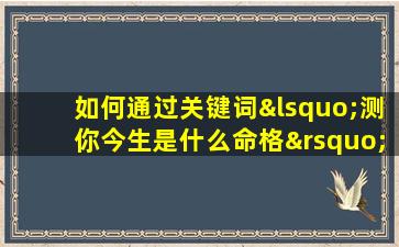 如何通过关键词‘测你今生是什么命格’来探索个人的命运走向