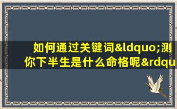 如何通过关键词“测你下半生是什么命格呢”来探索个人命运