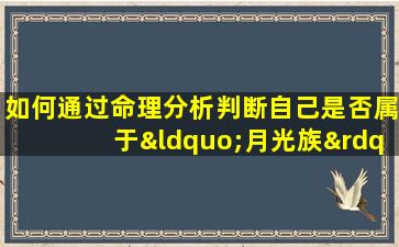 如何通过命理分析判断自己是否属于“月光族”的命格