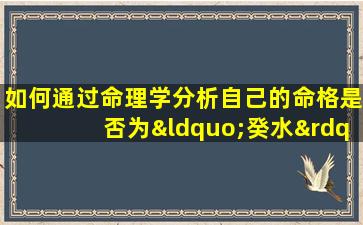 如何通过命理学分析自己的命格是否为“癸水”