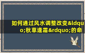 如何通过风水调整改变“秋草逢霜”的命格