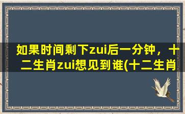 如果时间剩下zui后一分钟，十二生肖zui想见到谁(十二生肖赌命一搏：和谁见zui后一面？)