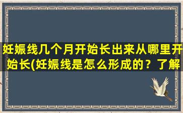 妊娠线几个月开始长出来从哪里开始长(妊娠线是怎么形成的？了解妊娠线从哪里开始长很重要！)