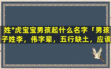 姓*虎宝宝男孩起什么名字「男孩子姓李，伟字辈，五行缺土，应该起个什么名字啊!请各位*指点.谢谢」