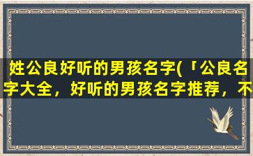 姓公良好听的男孩名字(「公良名字大全，好听的男孩名字推荐，不俗套，带有独特寓意的命名」)