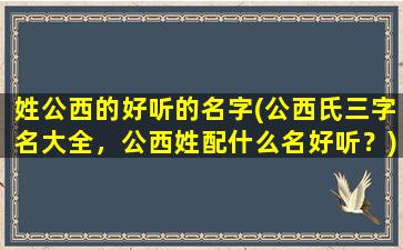 姓公西的好听的名字(公西氏三字名大全，公西姓配什么名好听？)