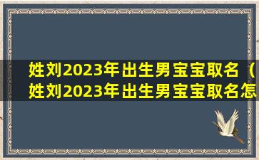 姓刘2023年出生男宝宝取名（姓刘2023年出生男宝宝取名怎么取）