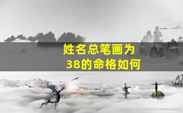 姓名总笔画为38的命格如何